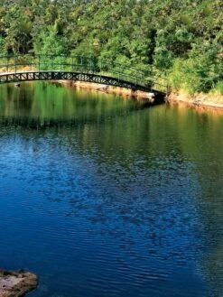 Aquasphere Pond Cleaners -Gardening Tools Shop 37425 001ed 1