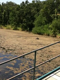 Blast, 2,500 Gallon, 5 Packets -Gardening Tools Shop 37425 001v 1 1