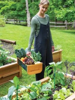 Garden Hods -Gardening Tools Shop 39 761 0146 tif