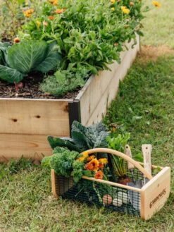 Garden Hods -Gardening Tools Shop 39 761 572 tif