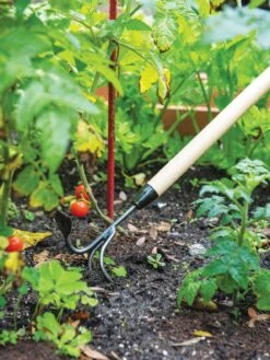 Gardener's Lifetime Long-Handled Double Tool -Gardening Tools Shop 3 4 crop 8592107 2460 tif