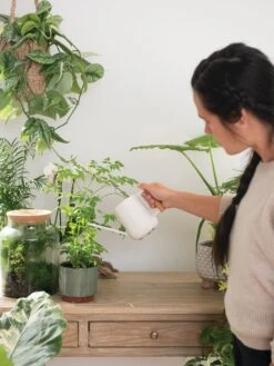 Pinpoint Indoor Watering Can -Gardening Tools Shop 3 4 crop 8612963 3774