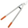 Leonard Professional Lifetime Loppers, 2 Inch Cutting Capacity -Gardening Tools Shop 51HdHk67QyL