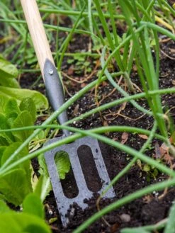 Gardener's Lifetime Spork -Gardening Tools Shop 8586973 2383 tif