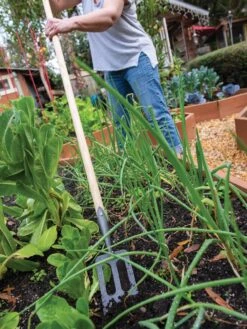 Gardening Tools Shop -Gardening Tools Shop 8586973 2385 tif