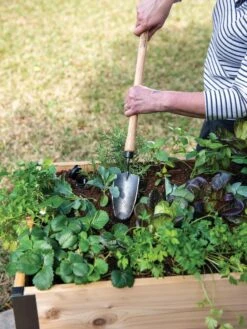 Gardener's Lifetime Raised Bed Trowel -Gardening Tools Shop 8588014 4084 tif