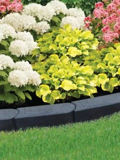 Stomp™ Edge, Set Of 6