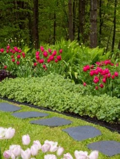 Recycled Rubber Flagstone Stepping Stone -Gardening Tools Shop 8594282 518 tif