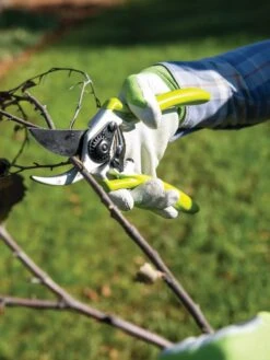 Gardener's Pro Pruner #2 -Gardening Tools Shop 8596605 032 tif