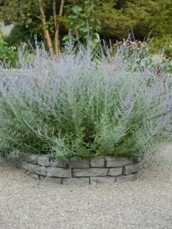 Rock Lock Interlocking Garden System, Curved Sets -Gardening Tools Shop 8598737 04V tif