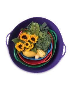 Colorful Tubtrug, 3-1/2 Gallon -Gardening Tools Shop 8599088 20GalTubTrug gif 1