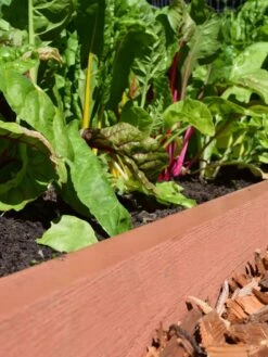 Straight Landscape Edging Kit With 2" Boards -Gardening Tools Shop 8599408 02V tif