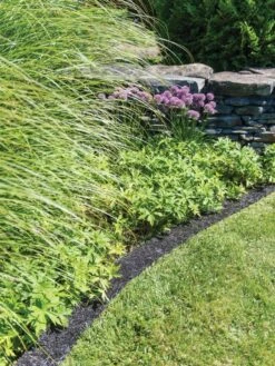 Recycled Rubber Mulch Edging, 12’ X 6” -Gardening Tools Shop 8599854 0897 tif