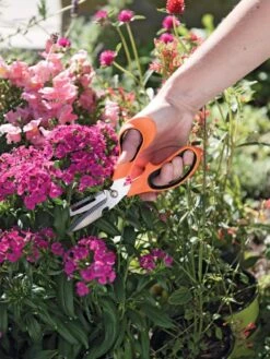 Gardener's Multi Purpose Scissors -Gardening Tools Shop 8608655 19551 tif