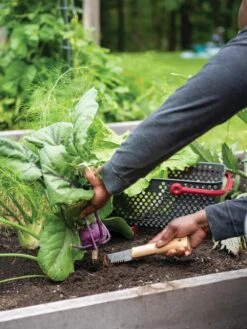 Gardener's Lifetime Hori Hori Knife -Gardening Tools Shop 8608888 0422 tif