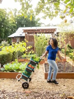 Mod Hod Trolley With Teal Mod Hods -Gardening Tools Shop 8610240 0070 tif