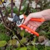 Castellari B12 Double-Blade Pruner