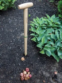 Wicked Big Dibber -Gardening Tools Shop 8612667 0028