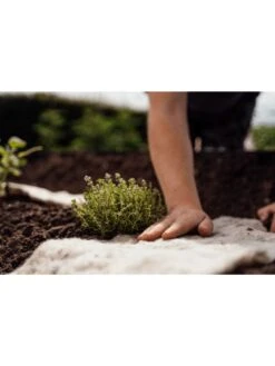 Hortiwool ®, Starter Garden Pad -Gardening Tools Shop 8613263 09v