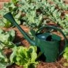 Long Reach Watering Can, Large -Gardening Tools Shop 8613346 0149