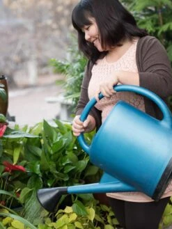 French Blue Watering Can -Gardening Tools Shop EmilyHoangSquare 0151 tif