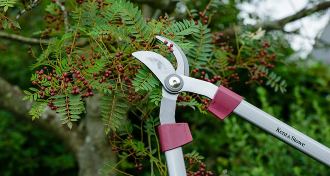 Gardening Tools Shop -Gardening Tools Shop 6858